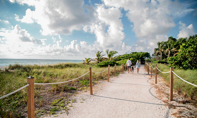 10-Surf-Row-Beach